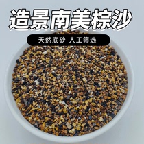 South America brown sand fish cylinder undersand decoration streams stone native cylinder rainforest building sand aquarium bunk beds special sand