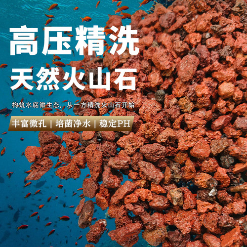 免洗天然火山石颗粒精筛洗养多肉颗粒土兰花铺面鱼缸专用过滤材 - 图0