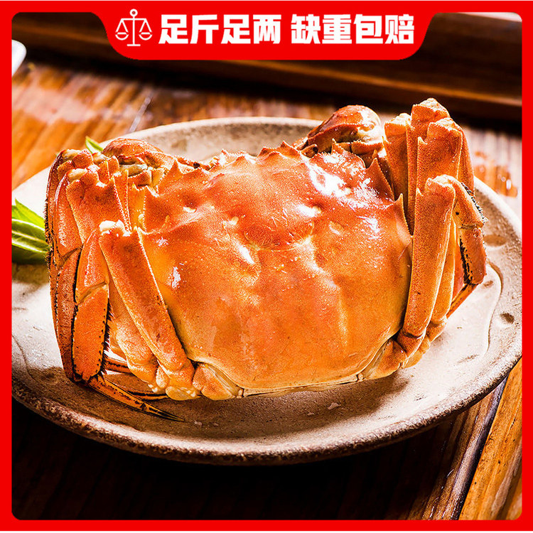 [现货]鲜活特6两大公蟹阳澄大闸蟹苏州特产湖蟹螃蟹年货大蟹礼盒,淘宝优惠券,粉丝福利购,淘宝优惠卷
