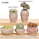 Ceramic succulent flowerpot