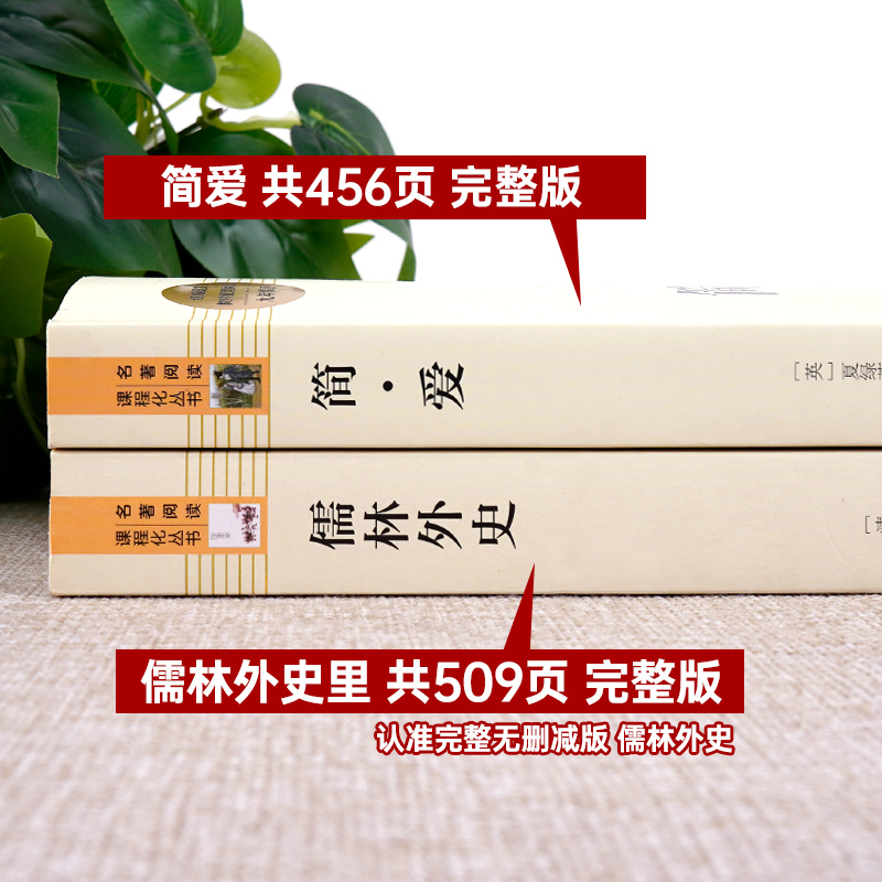 儒林外史和简爱书籍正版原著九年级下册必读文学名著课外书原版青少年版人民教育出版社初三初中生阅读人教版我是猫围城格列佛游记 - 图1