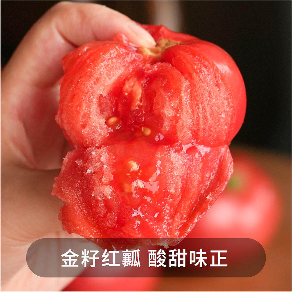 一周排！无双不二日本秀福番茄自然熟西红柿子菜番茄沙瓤新鲜番茄,淘宝优惠券,粉丝福利购,淘宝优惠卷