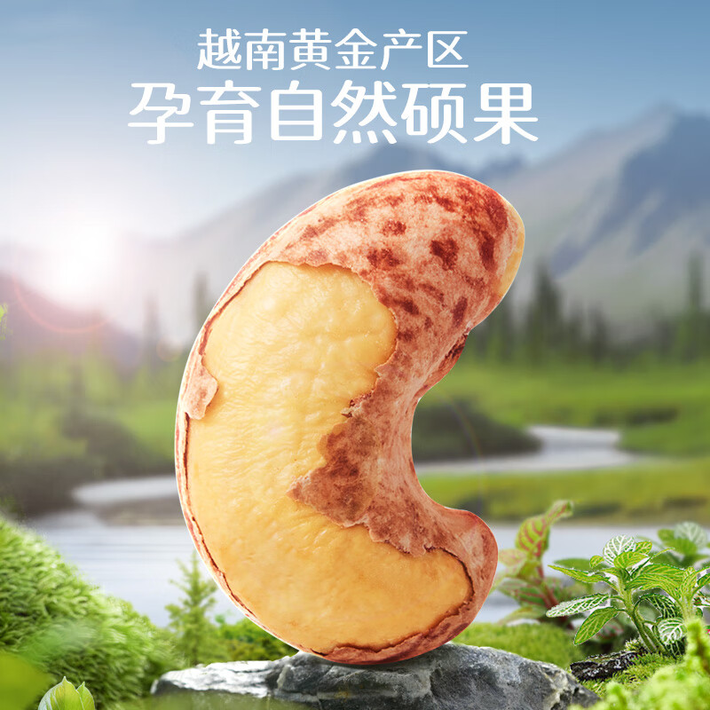 三只松鼠大颗粒紫皮腰果500g 罐装坚果炒货量贩干果腰果仁零食送 - 图3