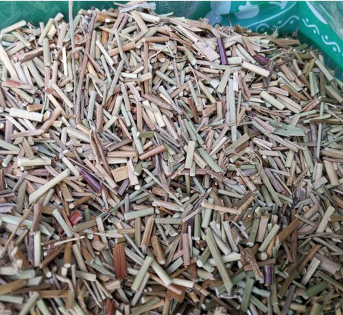 龙须草 中药材龙须草灯芯草水灯花水龙须草野席草马500克新货 - 图1