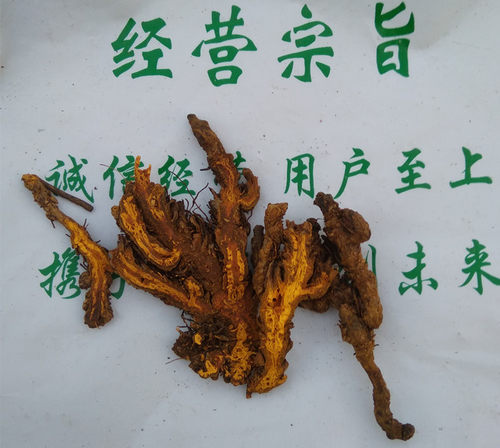 黄连 炒黄莲 中药材四川鸡爪黄连茶 农家原料生晒黄连炭 另炒苦瓜 - 图1