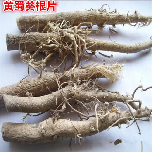蜀葵根 中药材蜀葵花 根黄蜀葵根 另有黄蜀葵杆包邮农家原料 - 图0