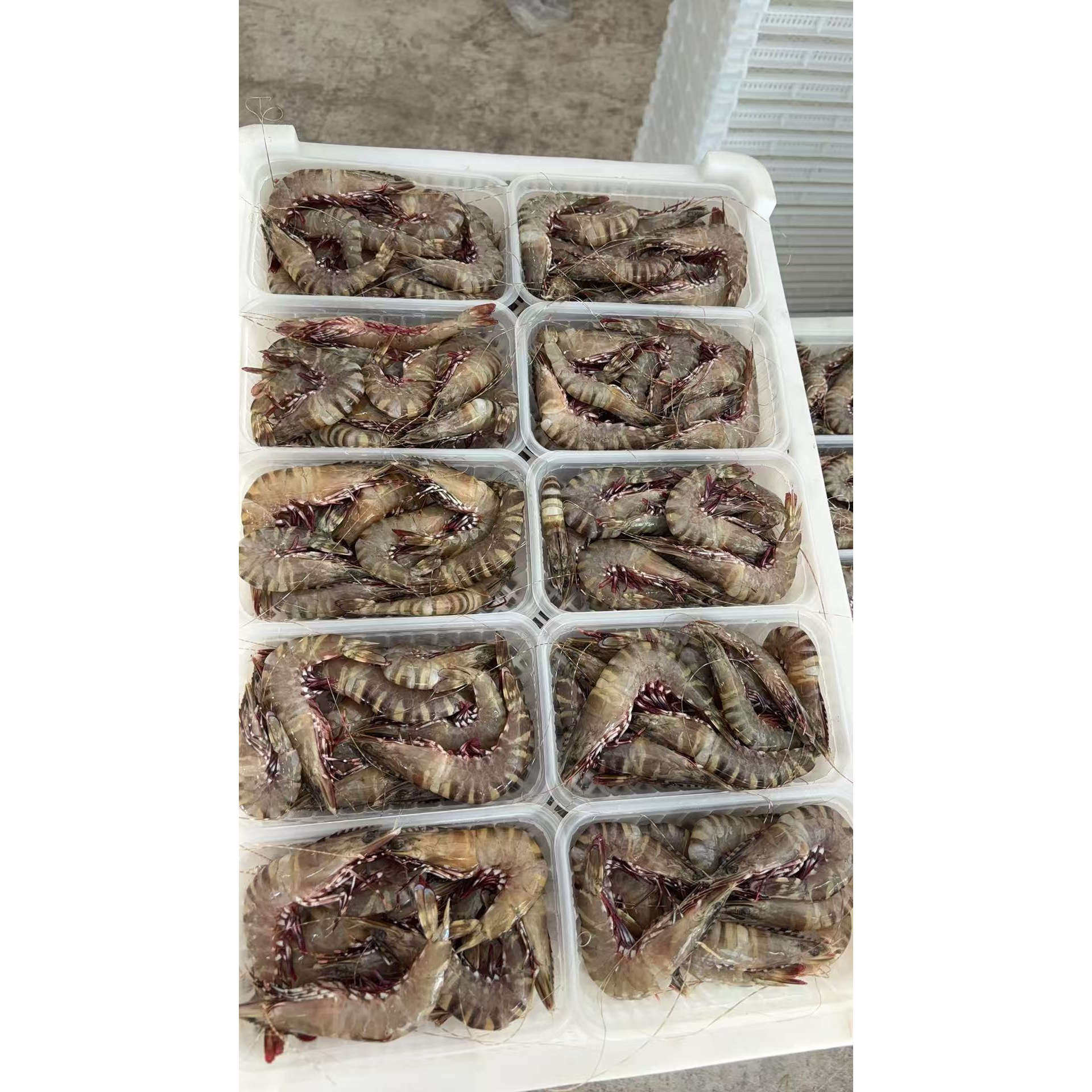 菜菜海鲜鲜冻黑节虾 约22条斤250gx2盒白灼爆炒都好吃性价比高,淘宝优惠券,粉丝福利购,淘宝优惠卷