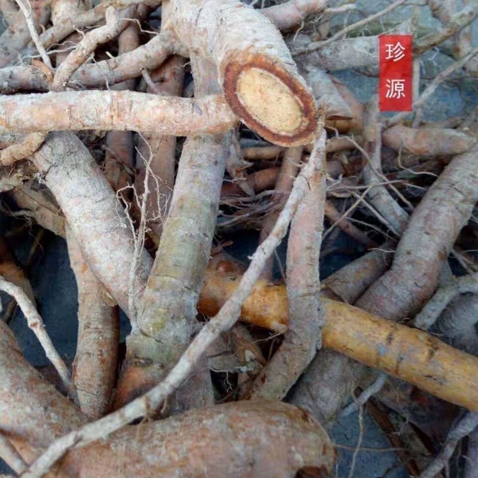 天然吊风根 双钩藤根 吊藤 金钩藤 吊子风 钓藤根 干货500g包邮