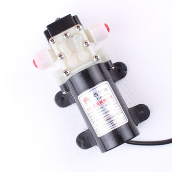 Prandi DC 12V24V25W45W diaphragm pump ເຄື່ອງສີດກະເສດລົດສີດນ້ໍາ purification pump overflow backflow type