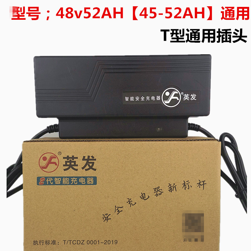 英发电动车电瓶充电器48V12AH20AH60V64V72V适用于新日爱玛雅迪