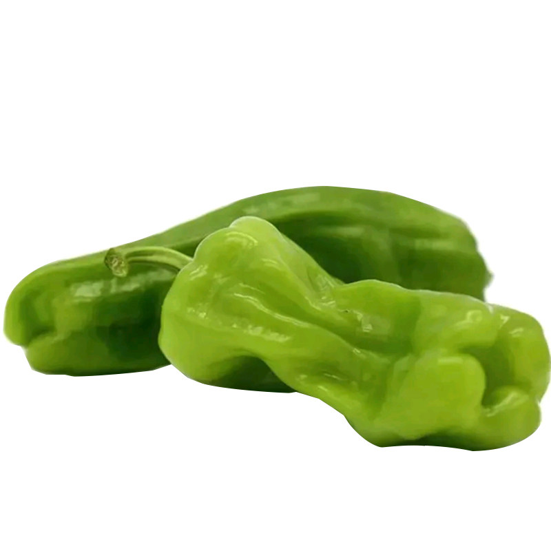 薄皮椒辣椒种子皱皮长椒种籽灯笼椒春夏秋四季种植蔬菜种孑菜种籽_虎窝淘
