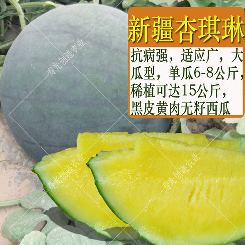 西瓜种子无籽西瓜种籽黑皮黄瓤特大巨型春夏季种植水果种孑早熟 - 图1