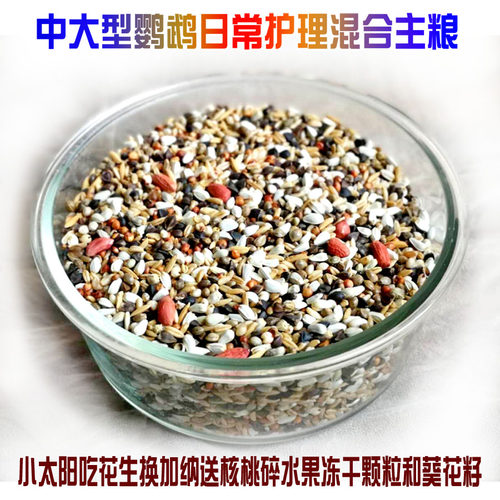 中大型小太阳金太阳和尚亚历绯胸灰鹦鹉饲料折衷葵花鸟粮5斤包邮 - 图3
