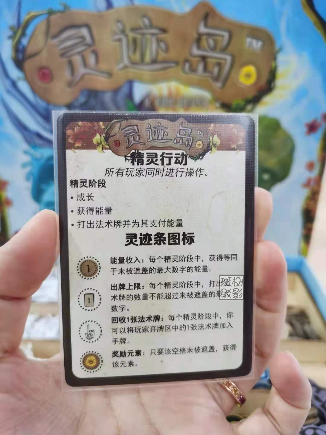 【树影斑驳】灵迹岛 Spirit Island 桌游专属透明磨砂牌套 卡套