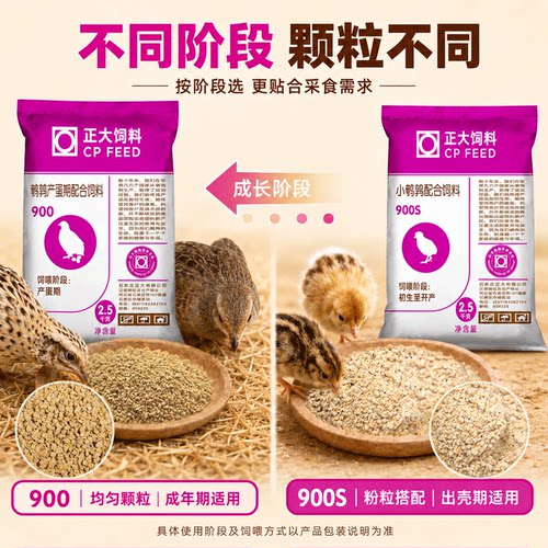 正大900芦丁鸡饲料鹌鹑专用产蛋粮幼苗雏鸡育雏小鸡下蛋开口料5斤 - 图1