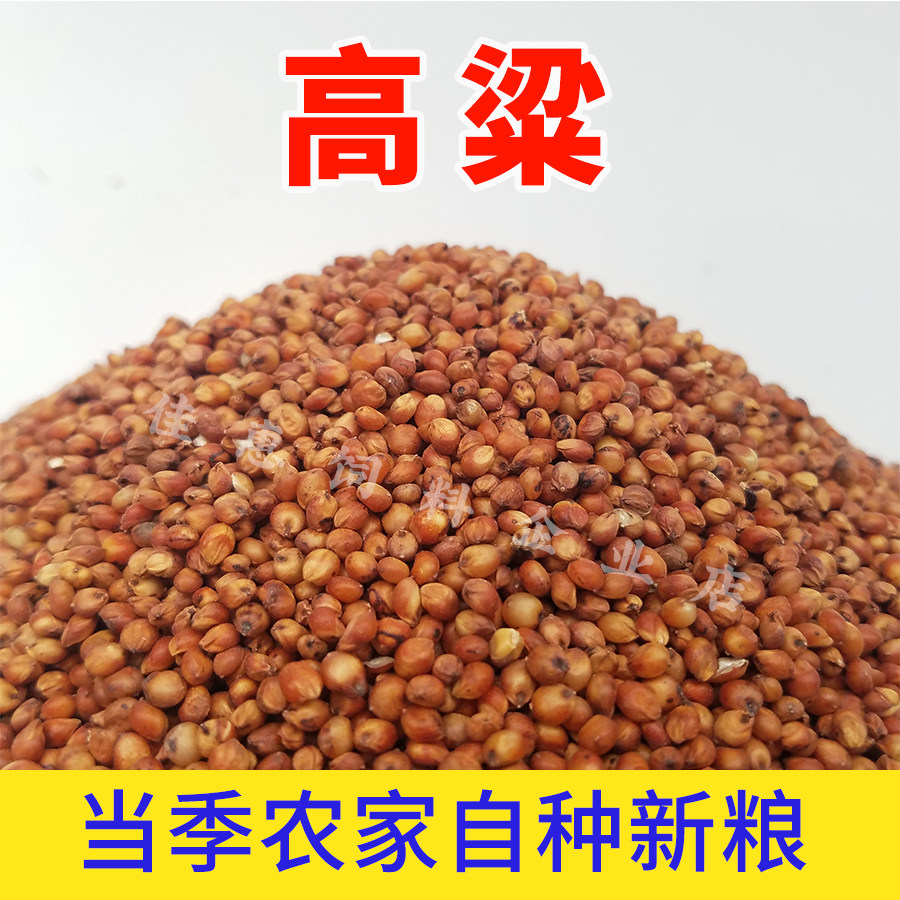 带壳红高粱白高粱带皮鹦鹉粮鸟食鸟粮仓鼠零食鸽粮鸽饲料赛鸽信鸽,淘宝优惠券,粉丝福利购,淘宝优惠卷