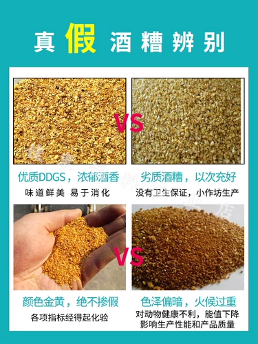 Кукуруза Lees Ddgs вино плохо сушеные говяжьи зеленый сырье маленькое желтое сырье на лице Рыбалка 100 фунтов