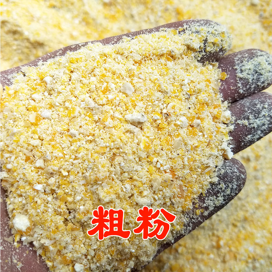 玉米粒喂鸡饲料玉米碎玉米糁玉米碴鸡鸭鹅粮食农家鱼饵五谷杂粮-图2
