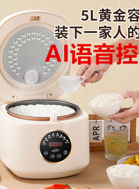 金纳斯5L语音低糖不粘电饭煲