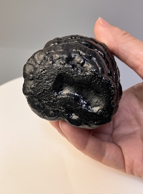 流放地非遗大漆杯胎灵芝纹孤品