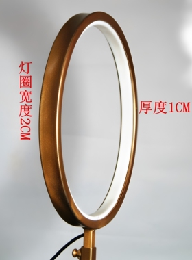 佛龛佛堂佛像背光合金LED长明灯