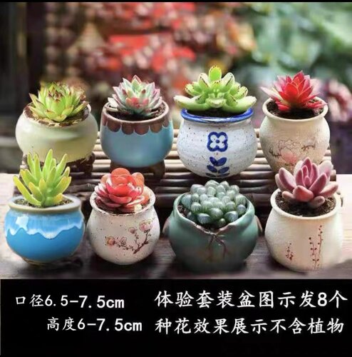 多肉花盆大小口径粗陶紫砂创意多肉植物复古陶瓷盆简约特价清仓 - 图1