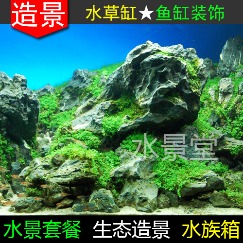 青龙石造景套餐水缸造景装饰鱼缸山石石水缸水族鱼缸造景 - 图3