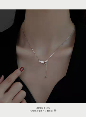 轻奢小众简约双环流苏项链女