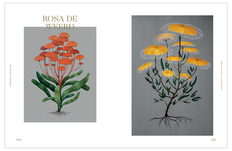 现货 英文原版植物灵感:自然艺术插画 Botanical Inspiration 罗西·桑德斯的花卉 植物绘画指南新思路 18世纪植物作品集画册画集 - 图3