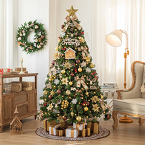 Christmas Tree Home 2023 new Christmas decorations Advanced Sensation Emulation Tree Package Diy Arrangement Decorations