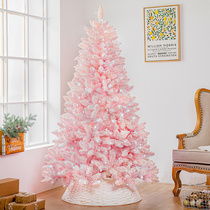 Port Constant Luxury encrypted Christmas Tree Home Large PE emulation Tree pink blue Snow Tree Luminous Christmas Decorations