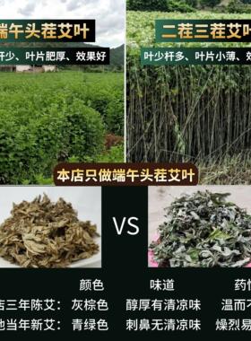 广州发货精品三年无杆艾叶不压缩