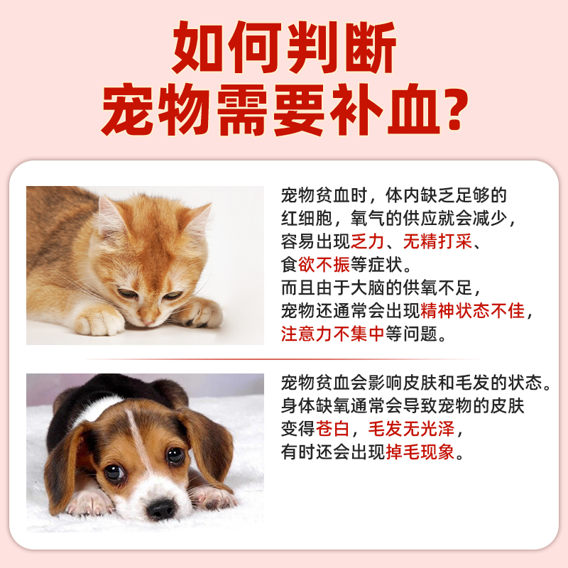宠医到补血肝精猫咪狗狗生血孕期产术后贫血缺铁补充营养膏口服液