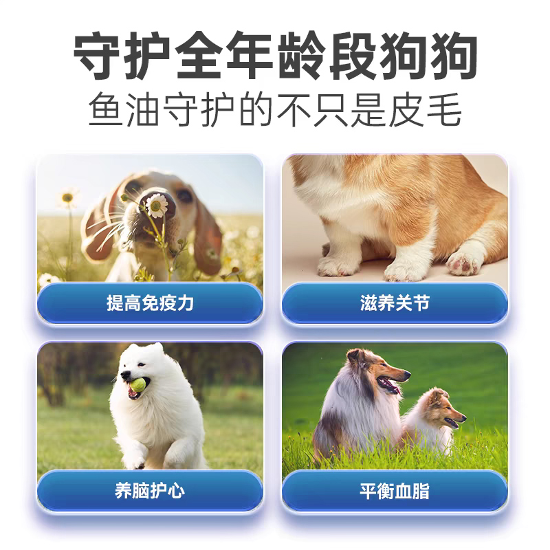 MAG狗鱼油美毛护肤猫咪宠物深海犬用鱼油金毛泰迪柯基专用卵磷脂 - 图0