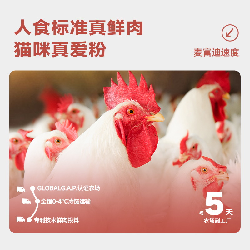 麦富迪鲜肉猫粮鸡肉美毛无谷高蛋白全价成猫幼猫泌尿猫粮十大品牌