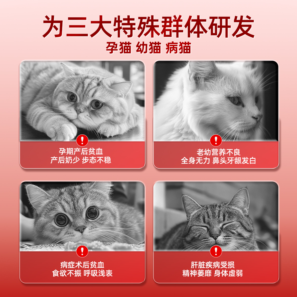 迪迪妈补血肝精猫咪补血贫血生血狗狗宠物术后产后怀孕口服营养品