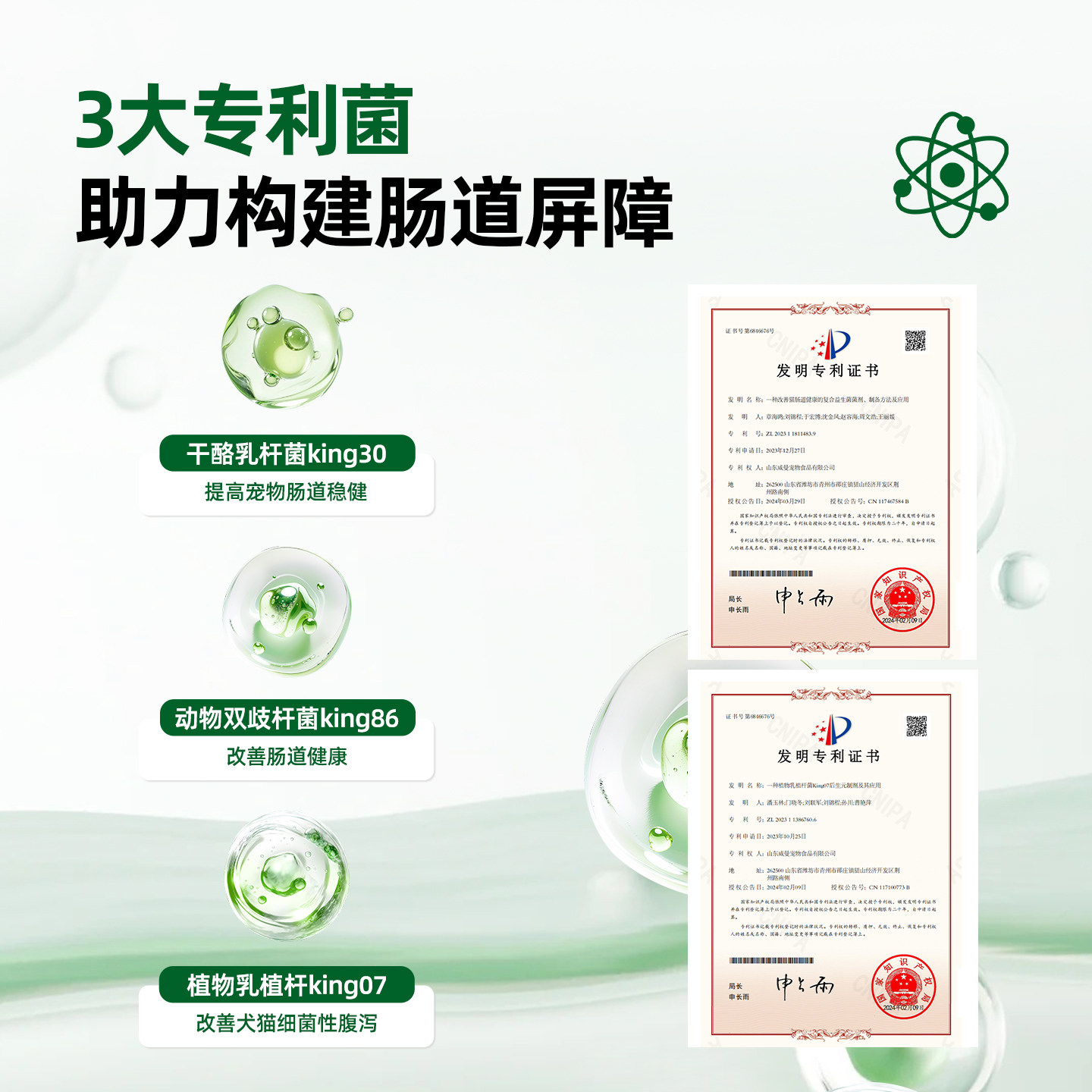 迪迪妈猫咪零食生骨肉羊奶冻干棒益生菌呵护肠道易吸收猫犬冻干棒,淘宝优惠券,粉丝福利购,淘宝优惠卷