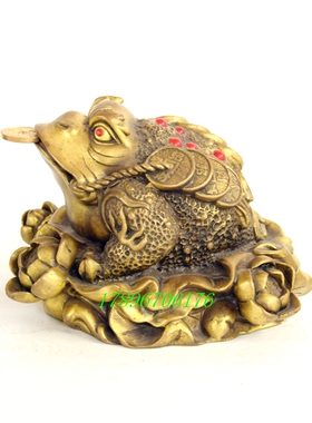 纯铜金蟾小号荷花金蟾蜍大号