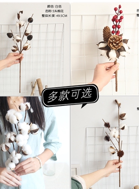 拍摄网红公寓服装店装饰棉花干花
