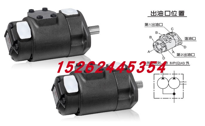 原装安颂ANSON双联泵PVDF-355/370/470/455-10/10S苏州天凌现货 - 图2