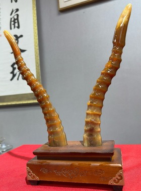 藏式天然蒙古羊角高端实心尖把件