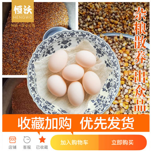 浙江现货恒沃鸽子蛋30枚包邮新鲜农家信鸽蛋白鸽土特产精装礼品 - 图1