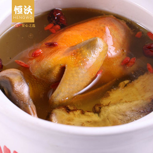 浙江顺丰空运多年老鸽1只食粮老鸽子肉新鲜土鸽月子生鲜整鸽煲汤 - 图1