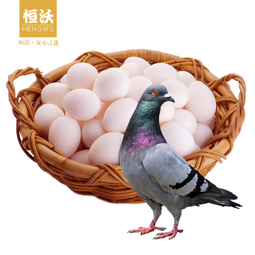 浙江现货恒沃鸽子蛋30枚包邮新鲜农家信鸽蛋白鸽土特产精装礼品 - 图0