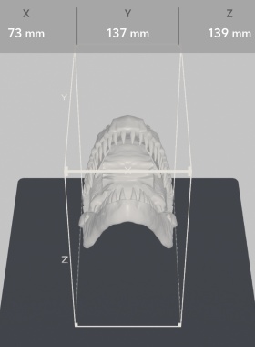 异特龙头骨化石3d打印ins爬宠沙漠缸场景道具摆件家居氛围道具