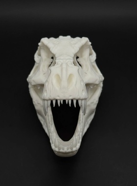 霸王龙头骨化石3d打印ins爬宠沙漠陆缸场景道具摆件家居氛围道具