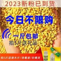 Oil Vegetable Flower Powder Fed Beekeeper Bee Pollen Middle Bee Dedicated Natural Bee Feed Pollen Grain BEEBEE