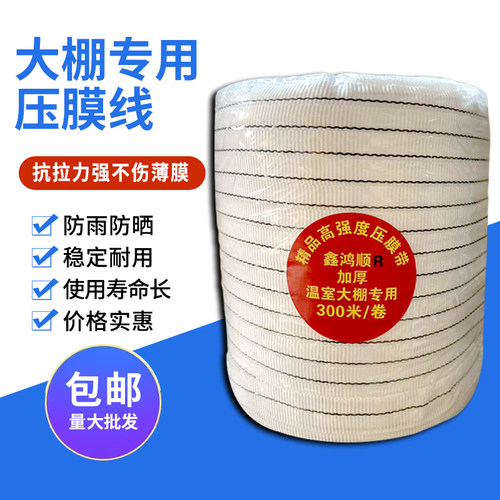 包邮温室大棚配件高强度压膜带抗老化压膜线加厚捆绑带白色防风绳 - 图2
