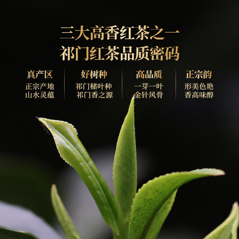 正山堂骏眉中国祁红金针特级祁门红茶正宗安徽高香茶叶罐装送礼,淘宝优惠券,粉丝福利购,淘宝优惠卷
