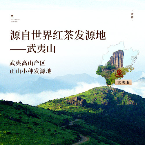元正茶颜红蓓浓香型红茶正宗武夷山小种红茶茶叶罐装自饮自己喝 - 图1